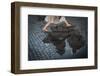 Jump-Antonio Convista-Framed Photographic Print