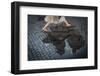 Jump-Antonio Convista-Framed Photographic Print