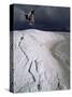 Jumping Above the Borax Deposits on Borders of Laguna Colorado, Bolivia, South America-Aaron McCoy-Stretched Canvas