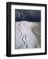 Jumping Above the Borax Deposits on Borders of Laguna Colorado, Bolivia, South America-Aaron McCoy-Framed Photographic Print