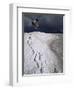 Jumping Above the Borax Deposits on Borders of Laguna Colorado, Bolivia, South America-Aaron McCoy-Framed Photographic Print