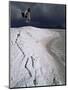 Jumping Above the Borax Deposits on Borders of Laguna Colorado, Bolivia, South America-Aaron McCoy-Mounted Photographic Print