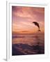 Jumping Bottlenose Dolphin-Stuart Westmorland-Framed Photographic Print