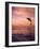 Jumping Bottlenose Dolphin-Stuart Westmorland-Framed Photographic Print