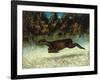 Jumping Deer-Gustave Courbet-Framed Giclee Print