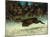 Jumping Deer-Gustave Courbet-Mounted Giclee Print