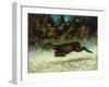 Jumping Deer-Gustave Courbet-Framed Giclee Print