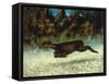 Jumping Deer-Gustave Courbet-Framed Stretched Canvas