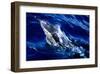 Jumping Dolphin-Charles Glover-Framed Art Print