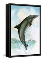 Jumping Dolphin-English School-Framed Stretched Canvas