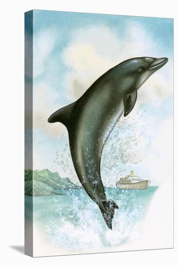 Jumping Dolphin-English School-Stretched Canvas