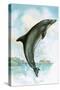 Jumping Dolphin-English School-Stretched Canvas