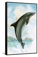 Jumping Dolphin-English School-Framed Stretched Canvas