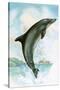 Jumping Dolphin-English School-Stretched Canvas