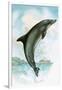 Jumping Dolphin-English School-Framed Giclee Print