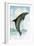 Jumping Dolphin-English School-Framed Giclee Print