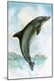 Jumping Dolphin-English School-Mounted Giclee Print