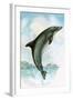 Jumping Dolphin-English School-Framed Giclee Print