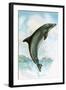 Jumping Dolphin-English School-Framed Giclee Print