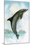 Jumping Dolphin-English School-Mounted Giclee Print