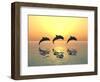 Jumping Dolphins-MIRO3D-Framed Photographic Print