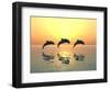 Jumping Dolphins-MIRO3D-Framed Photographic Print