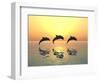 Jumping Dolphins-MIRO3D-Framed Photographic Print