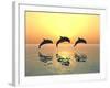 Jumping Dolphins-MIRO3D-Framed Photographic Print