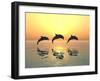 Jumping Dolphins-MIRO3D-Framed Photographic Print