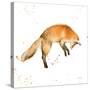 Jumping Fox-Katrina Pete-Stretched Canvas