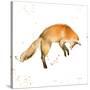 Jumping Fox-Katrina Pete-Stretched Canvas