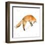 Jumping Fox-Katrina Pete-Framed Art Print