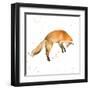 Jumping Fox-Katrina Pete-Framed Art Print