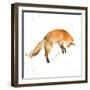 Jumping Fox-Katrina Pete-Framed Art Print