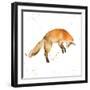 Jumping Fox-Katrina Pete-Framed Art Print