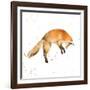 Jumping Fox-Katrina Pete-Framed Art Print