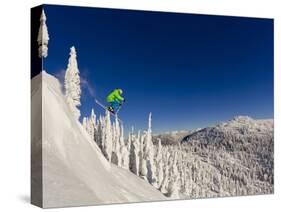 Jumping from Cliff on a Sunny Day at Whitefish Mountain Resort, Montana, Usa-Chuck Haney-Stretched Canvas