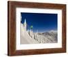 Jumping from Cliff on a Sunny Day at Whitefish Mountain Resort, Montana, Usa-Chuck Haney-Framed Photographic Print