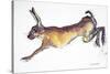 Jumping Hare-Lucy Willis-Stretched Canvas