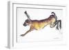 Jumping Hare-Lucy Willis-Framed Giclee Print