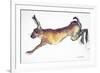 Jumping Hare-Lucy Willis-Framed Giclee Print