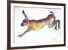 Jumping Hare-Lucy Willis-Framed Giclee Print