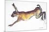 Jumping Hare-Lucy Willis-Mounted Giclee Print