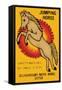 Jumping Horse Safety Matches-null-Framed Stretched Canvas