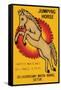 Jumping Horse Safety Matches-null-Framed Stretched Canvas