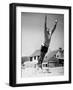 Black Frame