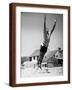 Brown Frame