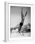 White Frame
