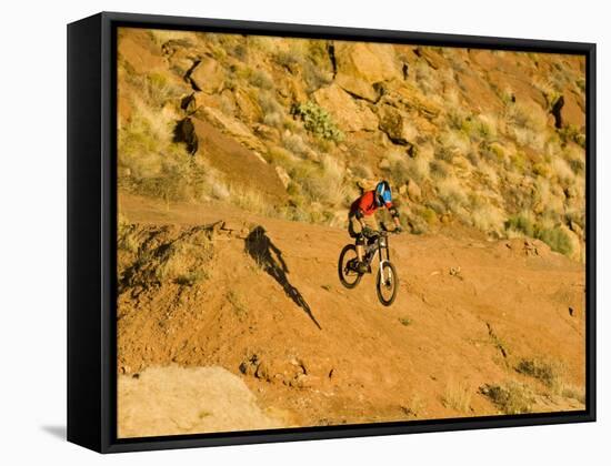 Jumping Mountain Bike, Rockville, Utah, USA-Chuck Haney-Framed Stretched Canvas