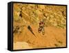 Jumping Mountain Bike, Rockville, Utah, USA-Chuck Haney-Framed Stretched Canvas